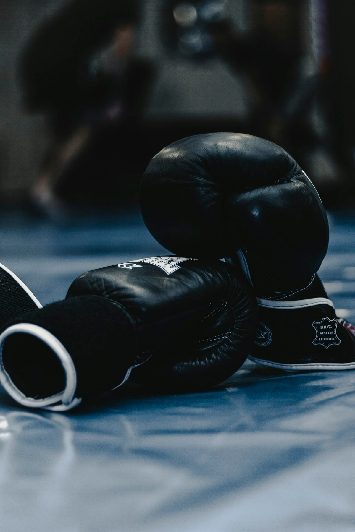 watch ufc fights live without cable IPTV watch ufc fights live without cable IPTV
